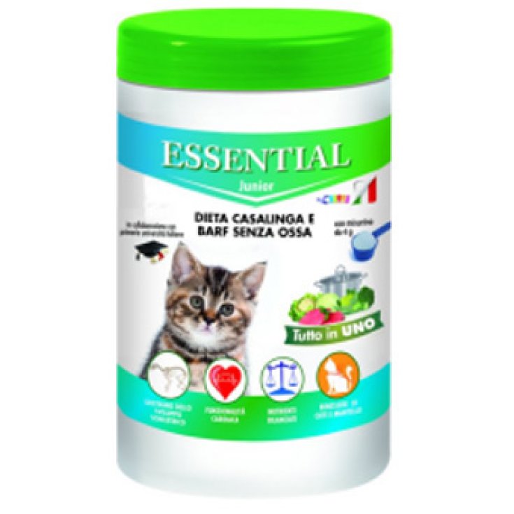 ESENCIAL GATO JUNIOR 150G