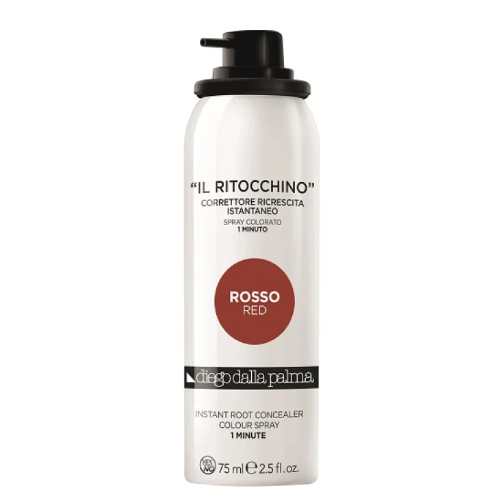 DDP HAIRCARE EL RETOQUE - R