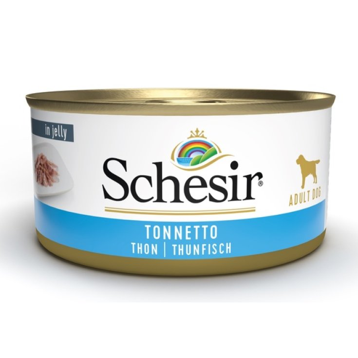 ATUN SCHESIR 150G