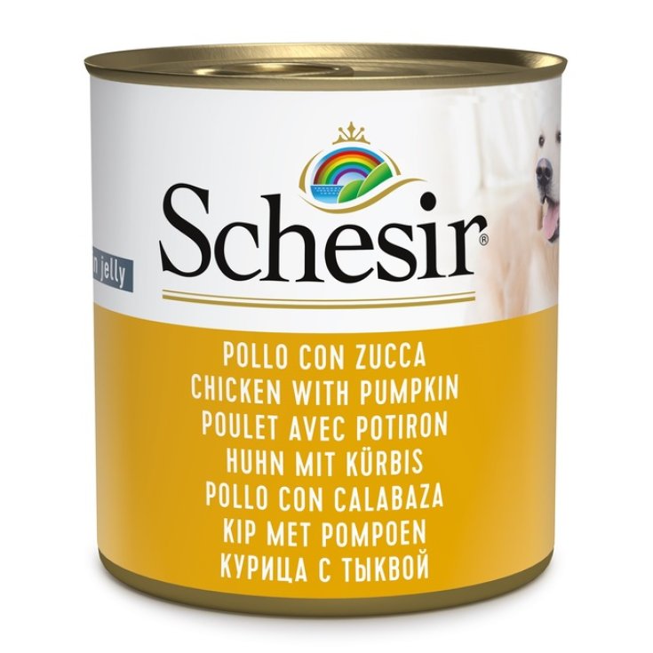 SCHESIR PERRO POLLO CON CALABAZA 285G