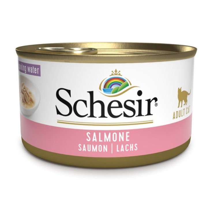 SCHESIR SALMÓN NATURAL 85G