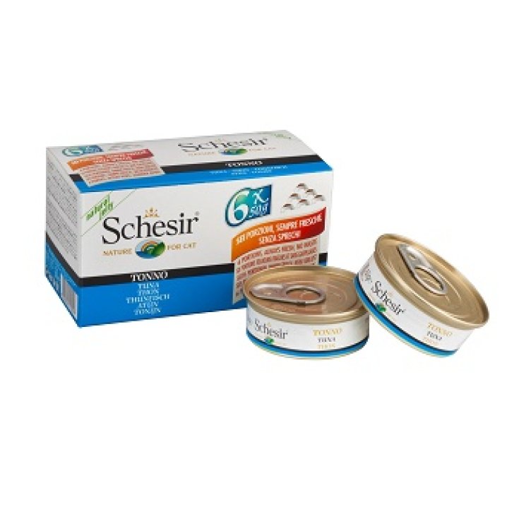 SCHESIR GATO TONNETTO MP 6X50G