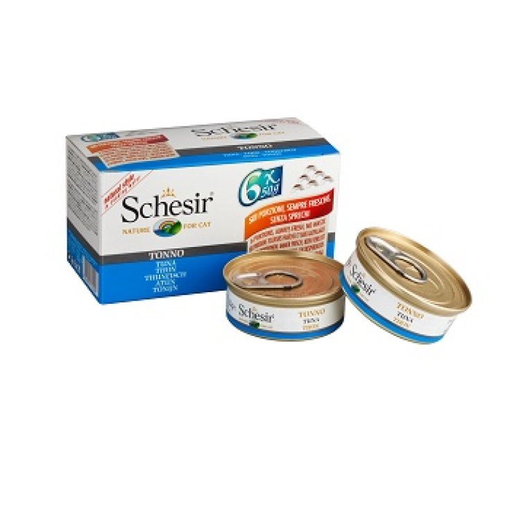 SCHESIR GATO TONNETTO MP 6X50G