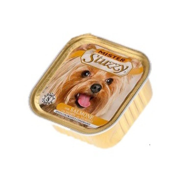 MR STUZZY PERRO SALMÓN 150G