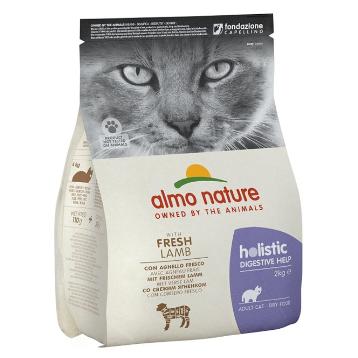 HOLISTIC FUNCT CAT SECO DIG 2KG