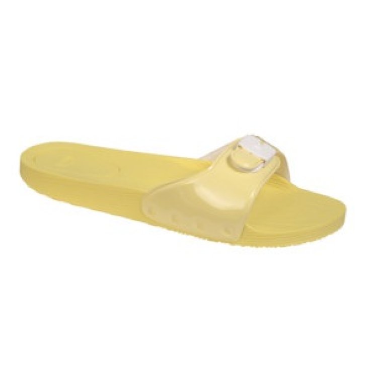 SCHOLL POP SYNPAT W AMARILLO 41
