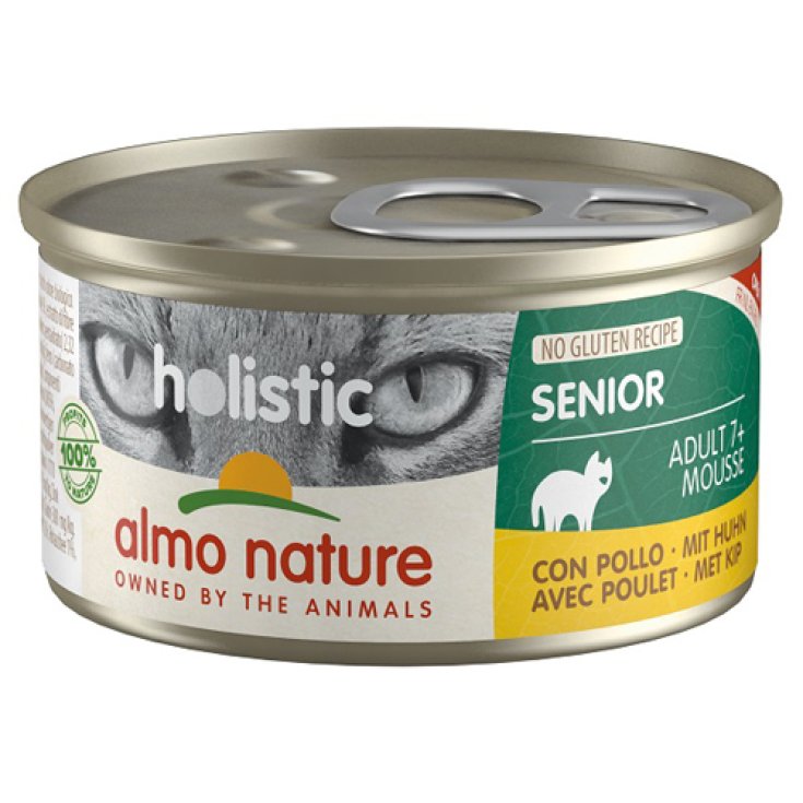 HOLISTICO ADULTO +7 POLLO 85G