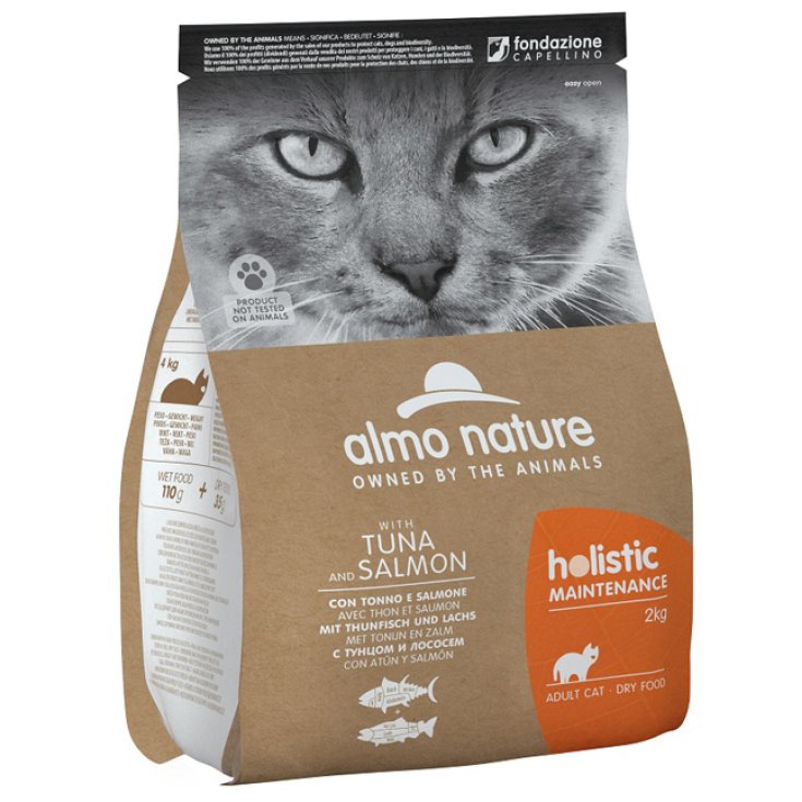 HOLISTIC GATO SECO M TON/SAL 2KG