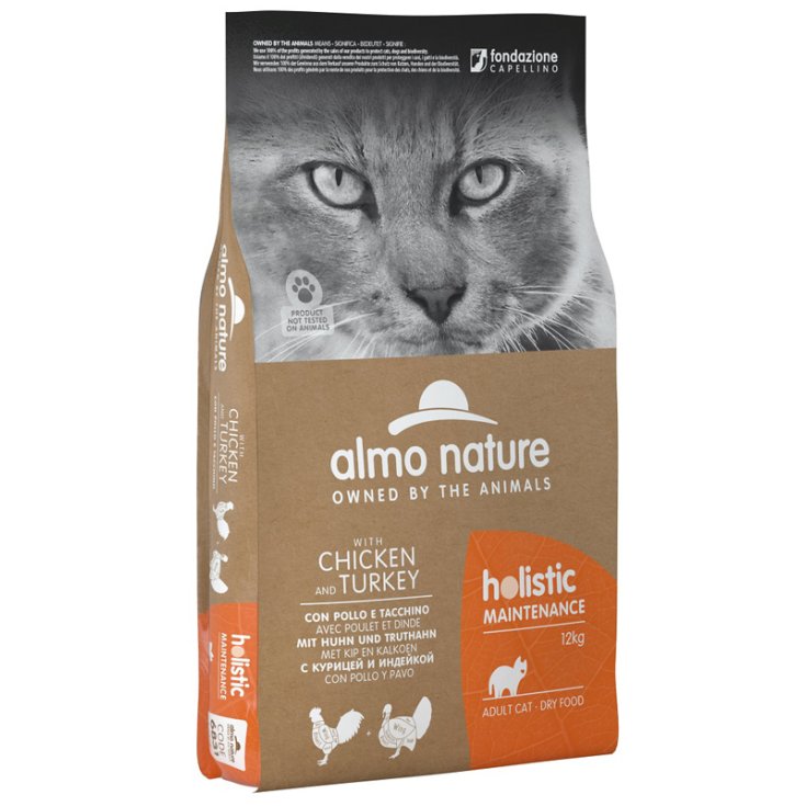 SECO HOLISTICO GATO M POL/TAC12KG