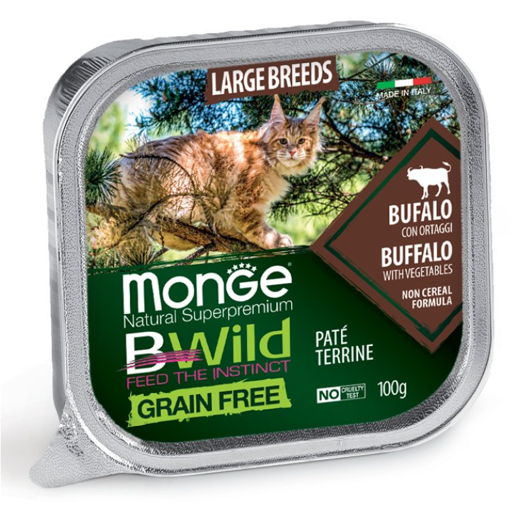 GATO MONGE BWILD LB BUFFALO/ORT