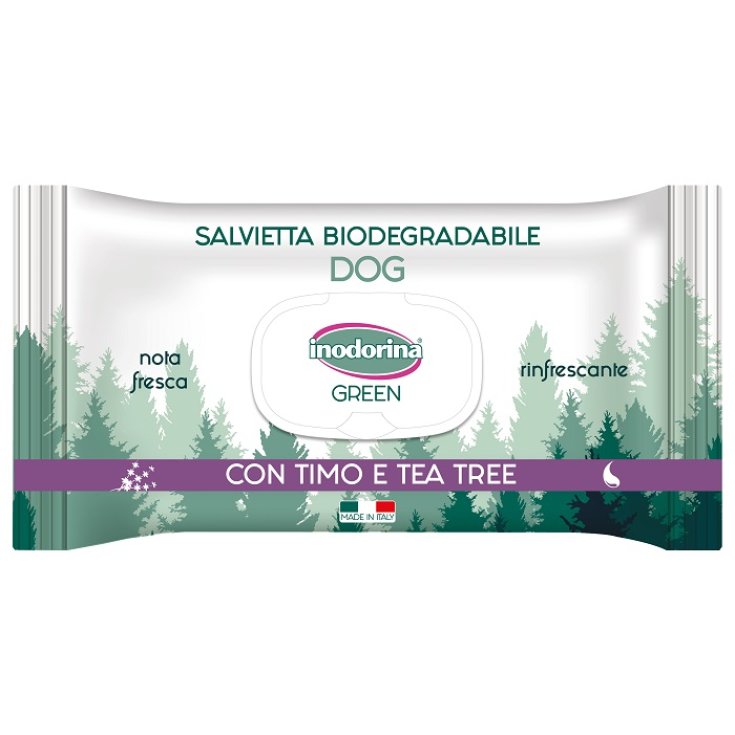 INODORINA VERDE RINFR 30SALV