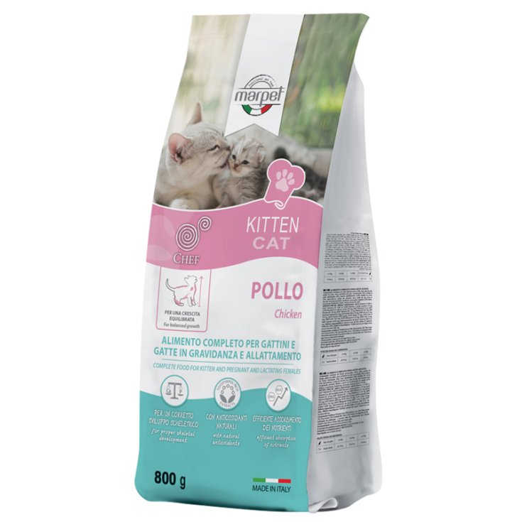 CHEF GATITO POLLO 800G