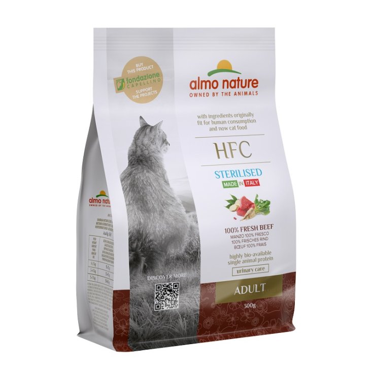 HFC GATO SECO AD ST CARNE 300G