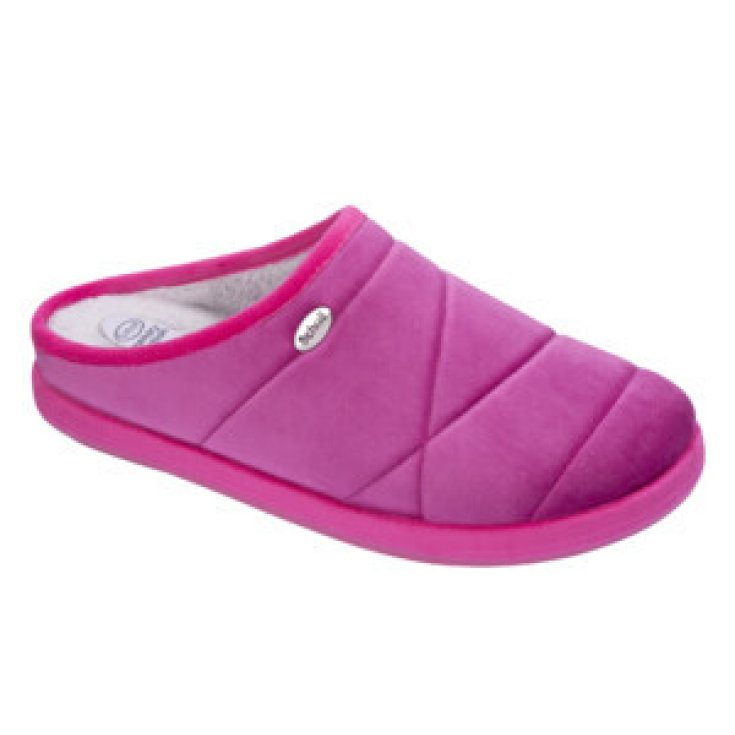 HOLLY 2.0 MICROFIBRAS W FUCH 40