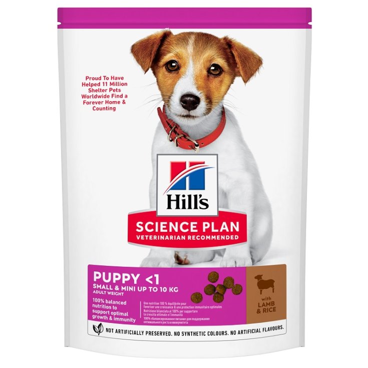 PLAN DE CIENCIA PUP PUP LA&RI300G