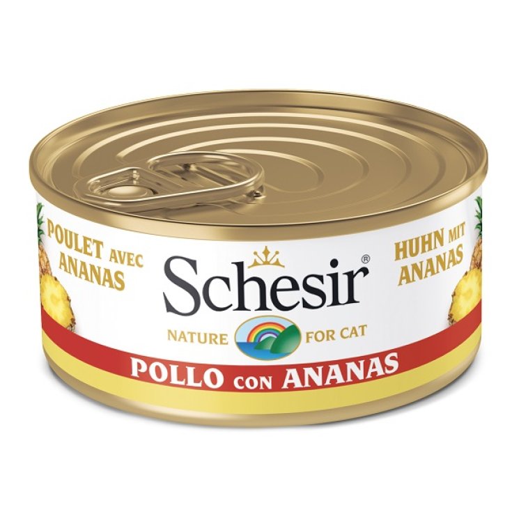 SCHESIR ANAN FILETES DE POLLO 75G