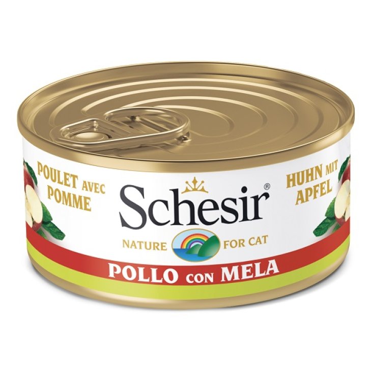 SCHESIR FILETES DE POLLO MANZANA 75G