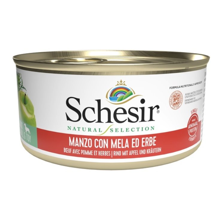 SCHESIR PERRO NS CARNE 95G