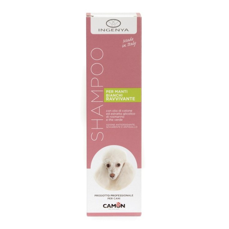 CHAMPÚ PARA ABRIGOS BLANCOS 250ML