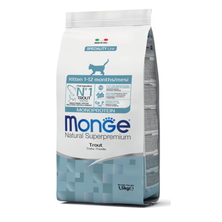 GATITO GATO MONGE MONO TRO1,5KG