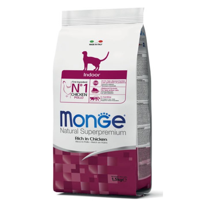 GATO MONGE INTERIOR 1.5KG