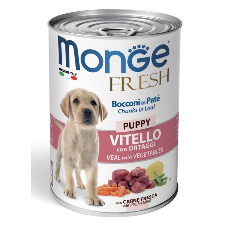 MONGE FRESCO CACHORRO VIT ORT 400G