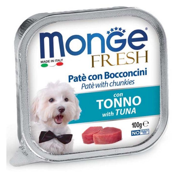 ATÚN FRESCO MONGE 100G