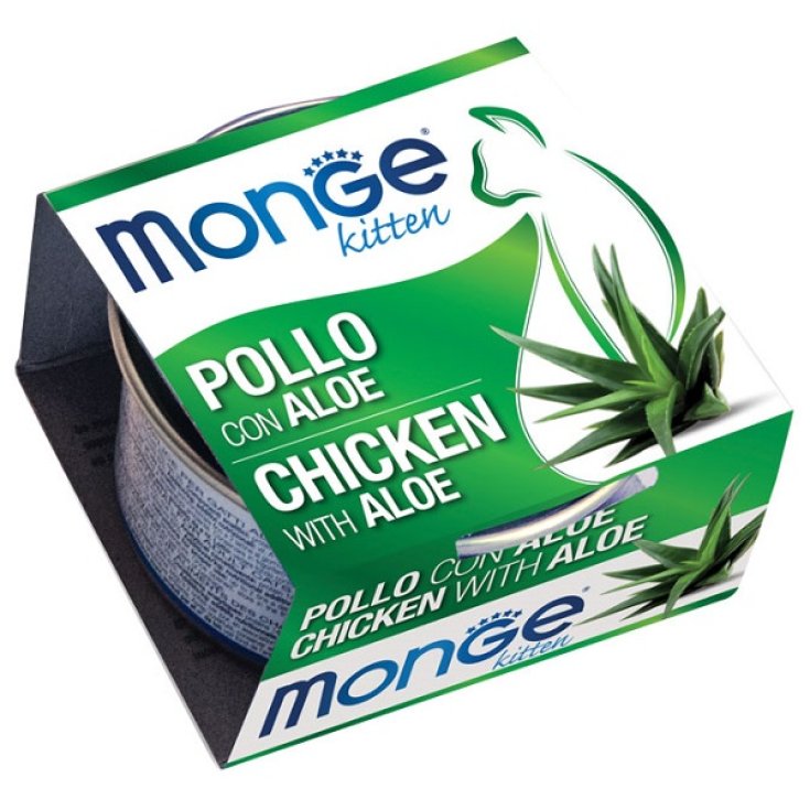 POLLO FRUTAS MONGE CON ALOE 80G