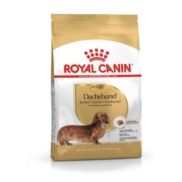 BHN DACHSHUND ADULTO 7,5KG