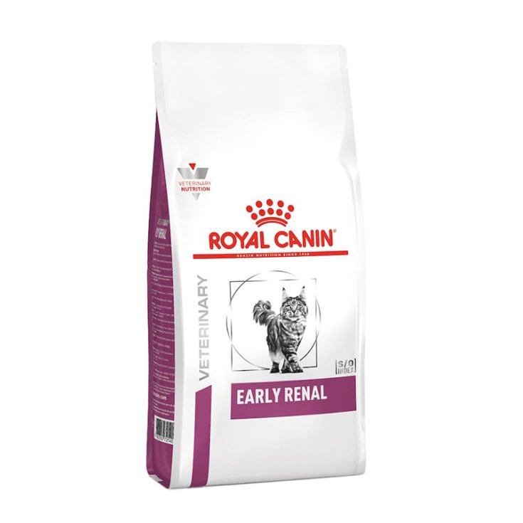 VHN GATO RENAL TEMPRANO 400G