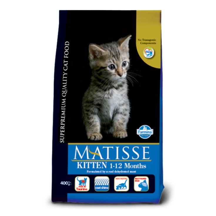 GATITO MATISSE 1,5KG