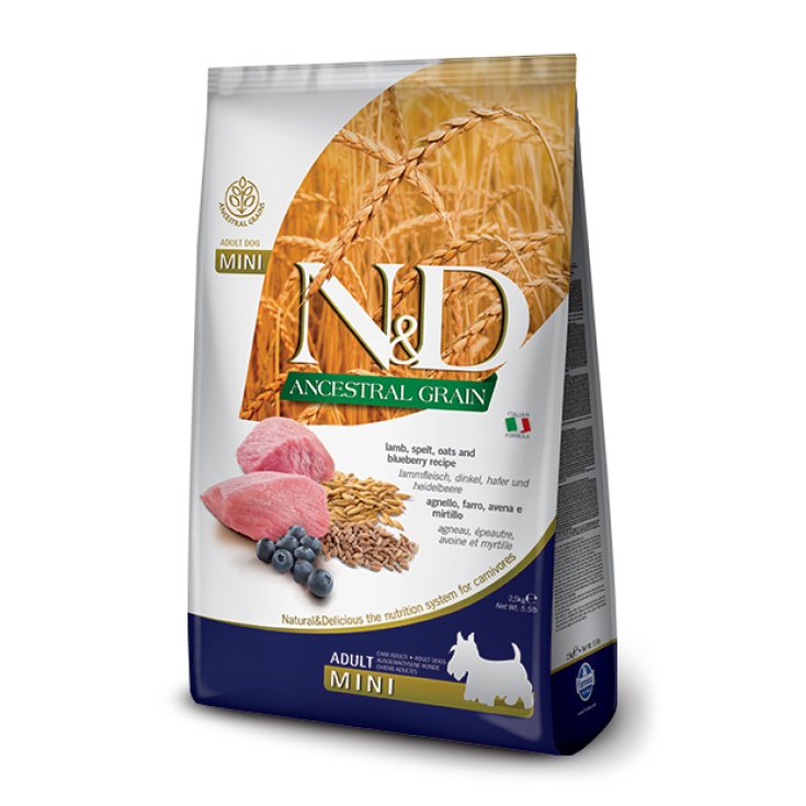 N&D AC CAN CORDERO&BLUE AD MI800G