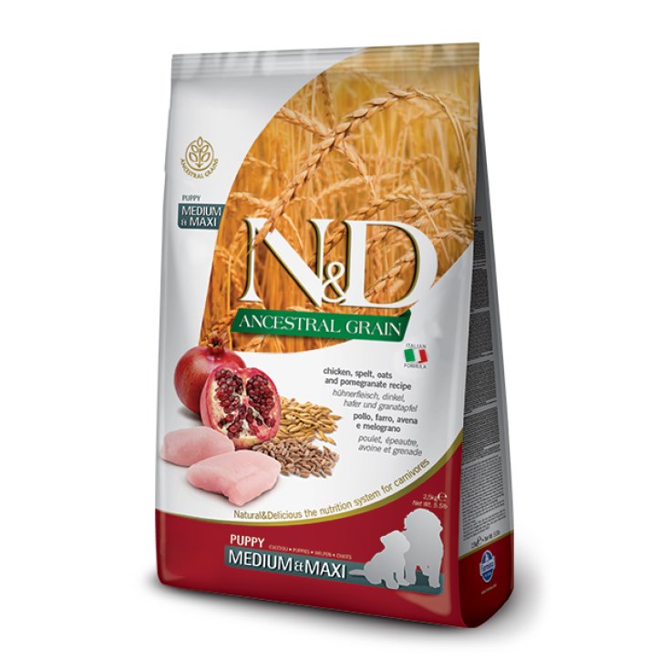 N&D PERRO ANCESTADO CH&PO P MM 12KG