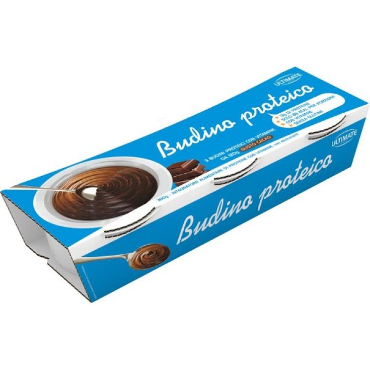 BUDINO PROTEICO CACAO 360G