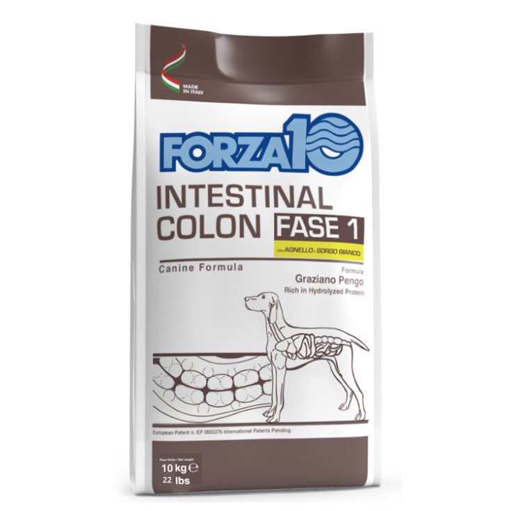 FORZA10 COLON INTESTINAL AGN/S