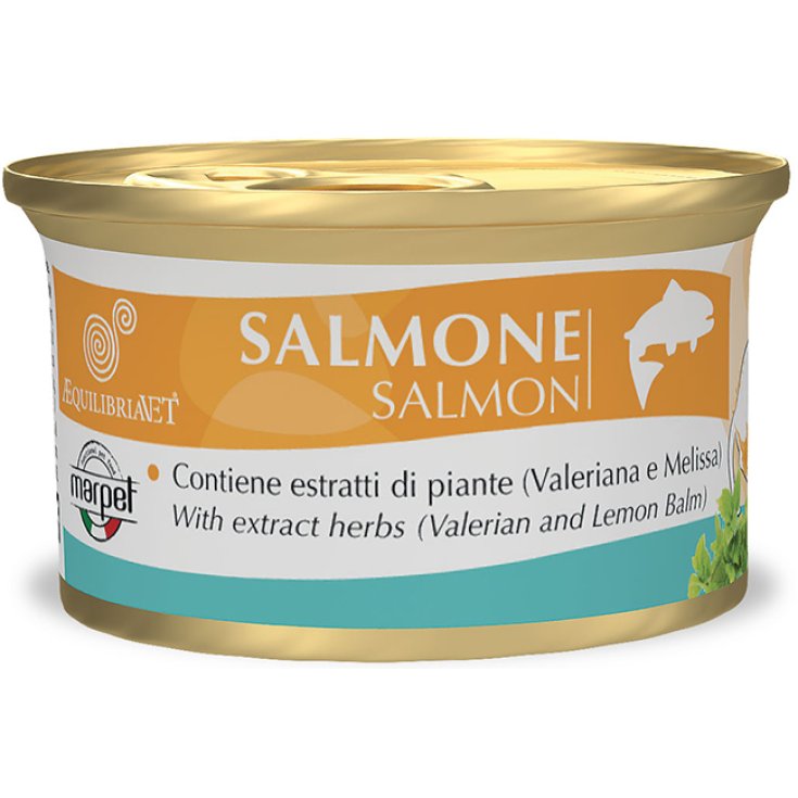 AEQUILIBRIAVET SALMÓN DE GATO 85G