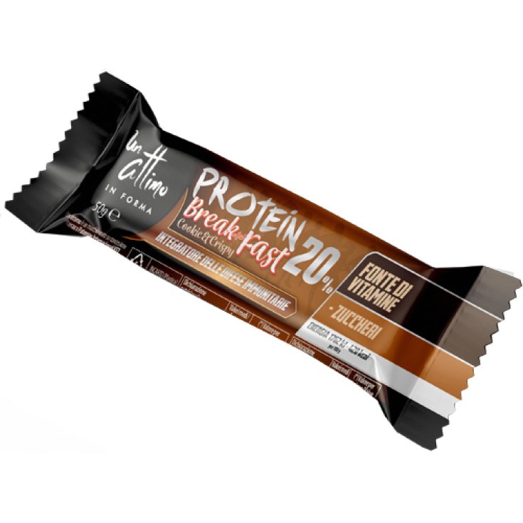 PROTEIN BAR 20% BREAK&FAST 50G