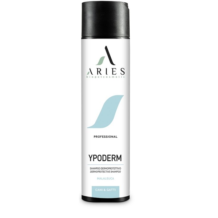 YPODERM SHAMPOO 250ML