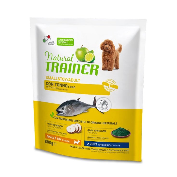 NT PEQUEÑO Y JUGUETE AD FISH&RISE 800G