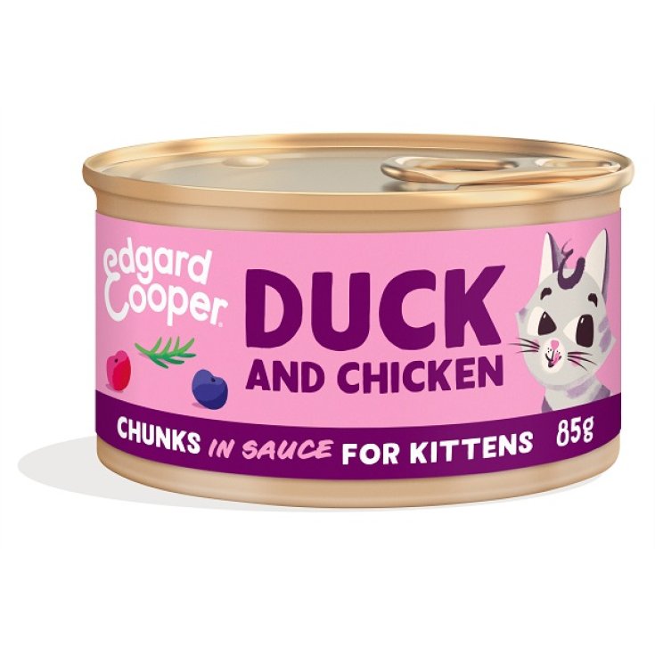 E&C CAT EXP KITT CHUNK PATO85G