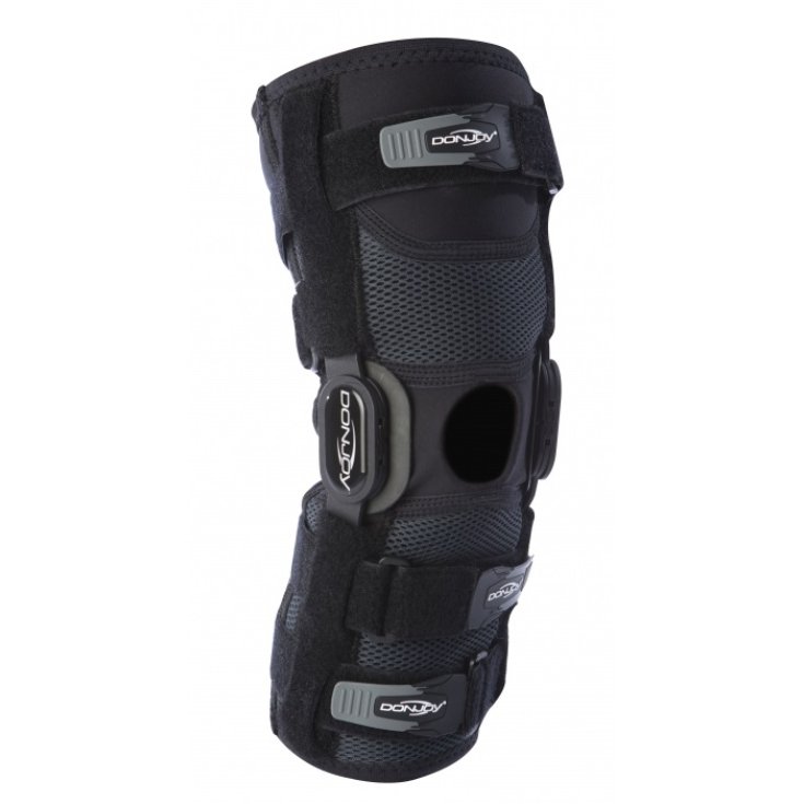 PLAYMAKER II LUNGA STAND MD