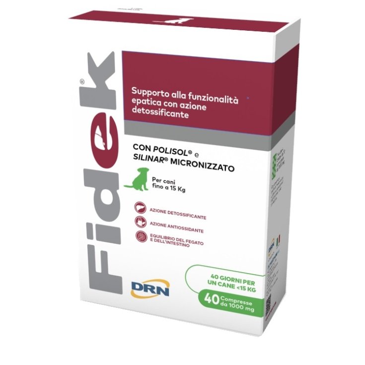 FIDEK 1g DRN 40 Compresse