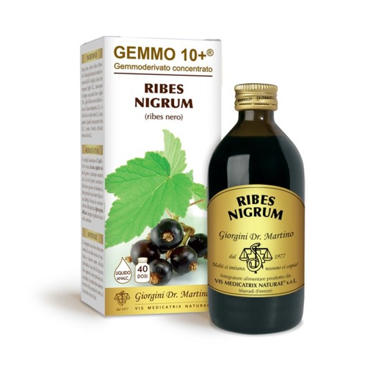 G10 + Líquido Sin Alcohol Grosella Negra Dr. Giorgini 200ml