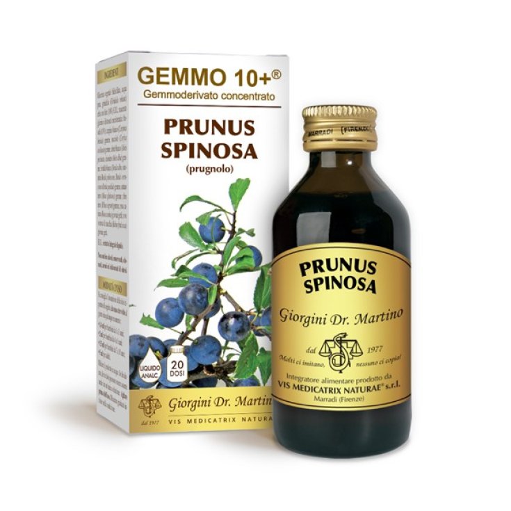 G10 + Prunus Spinosa Dr.Giorgini 100ml