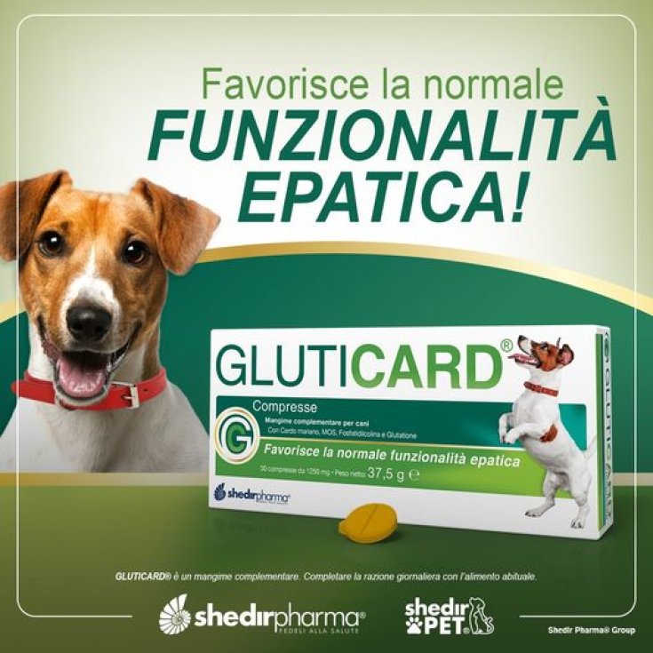 Gluticard® ShedirPharma® 30 Comprimidos