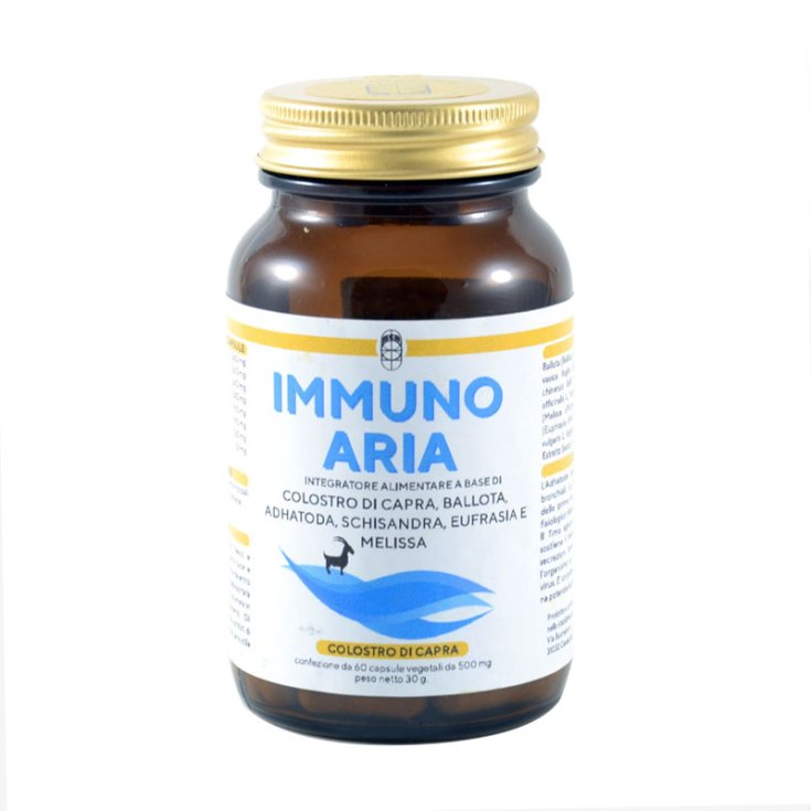 Immuno Aria Salud Punto Bienestar 60 Cápsulas