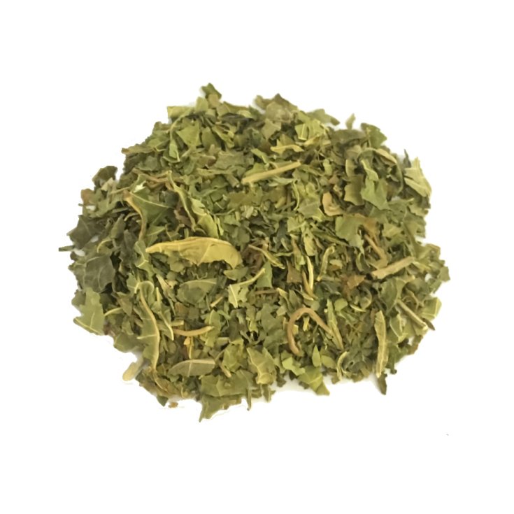 Hojas de Castaño de Indias Galeno 250g