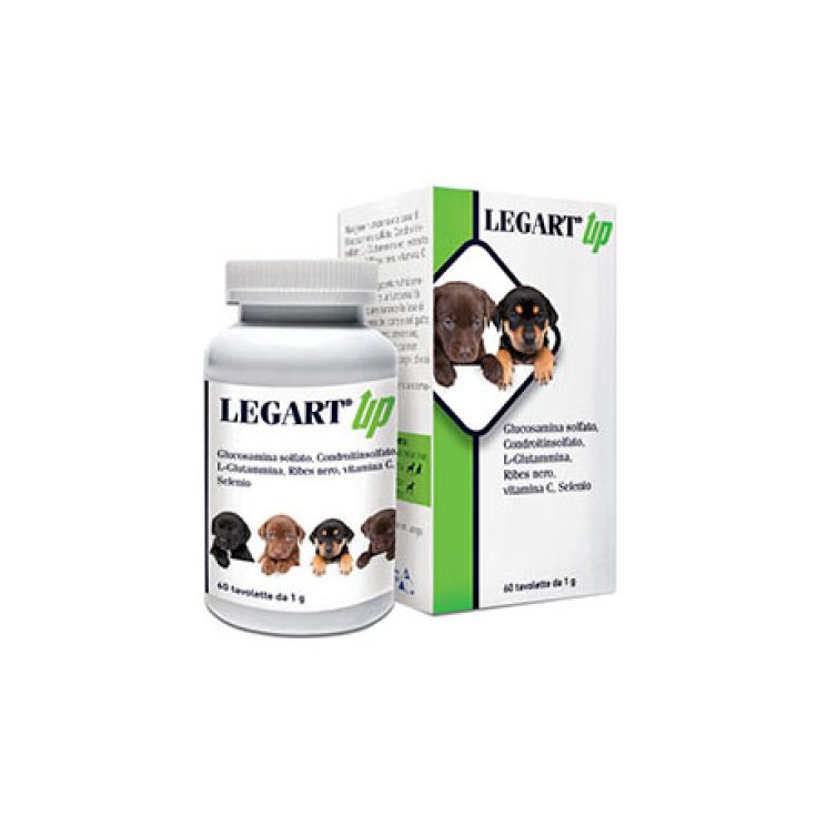 LEGART® Up DDFarma 60 Comprimidos