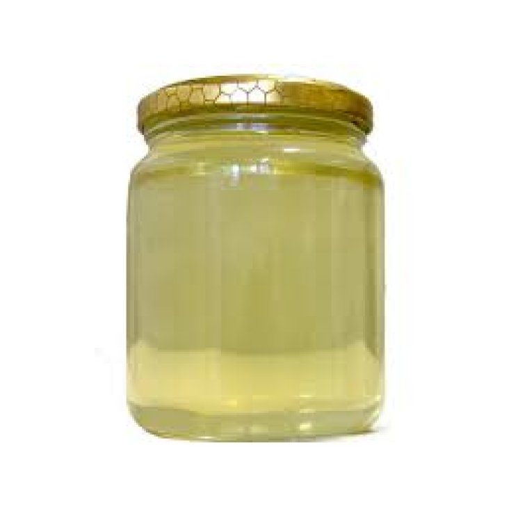 Farmagourmet Miel de Acacia 250g