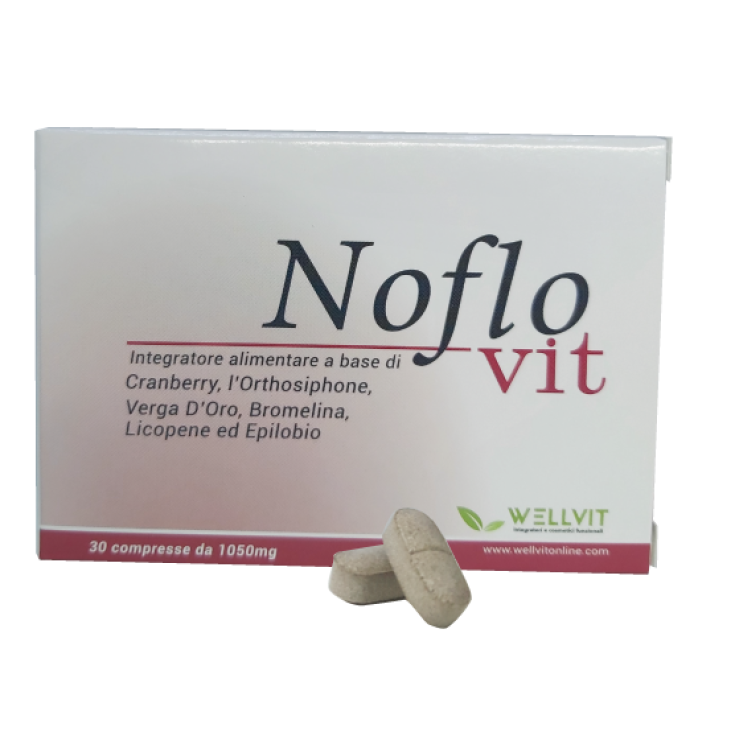 Noflovit WellVit 30 Comprimidos